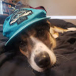 Meet your Posher, Travis